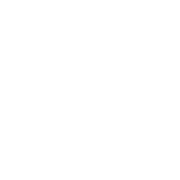 Papel e celulose – ICONE Papel e celulose - ICONE